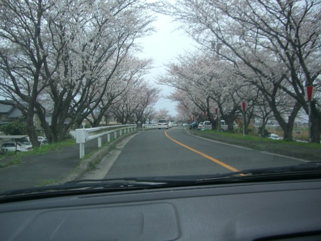 f0137275_519757.jpg