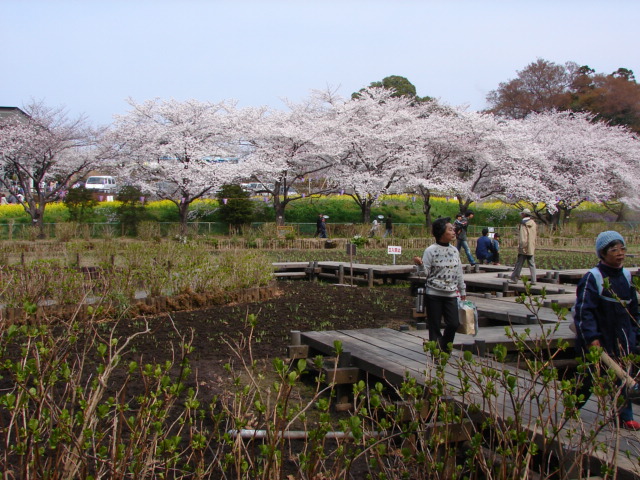 f0104277_6391596.jpg