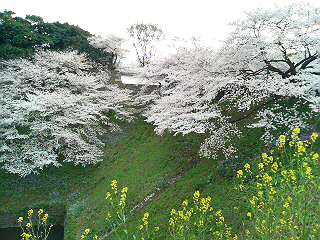 f0014183_10395497.jpg