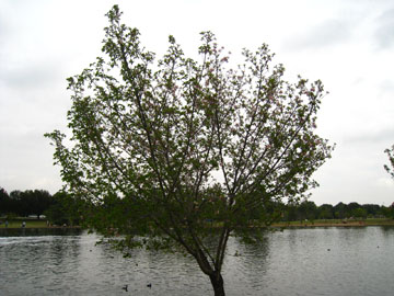 f0068883_10195269.jpg