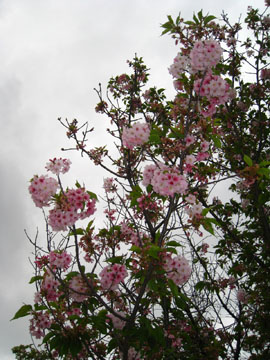 f0068883_10264197.jpg