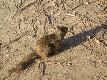 f0068883_10315056.jpg