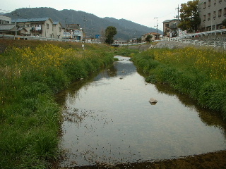 e0060485_23213437.jpg