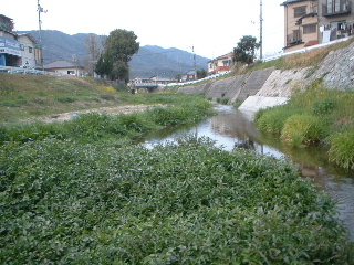 e0060485_23253016.jpg