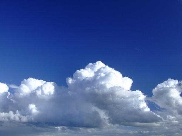 a0087389_21461289.jpg