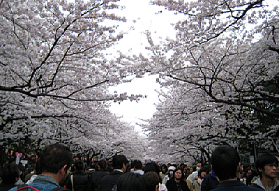 a0063390_051052.jpg