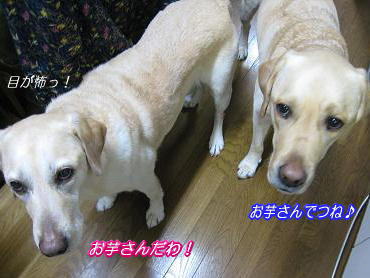 c0028792_22473171.jpg