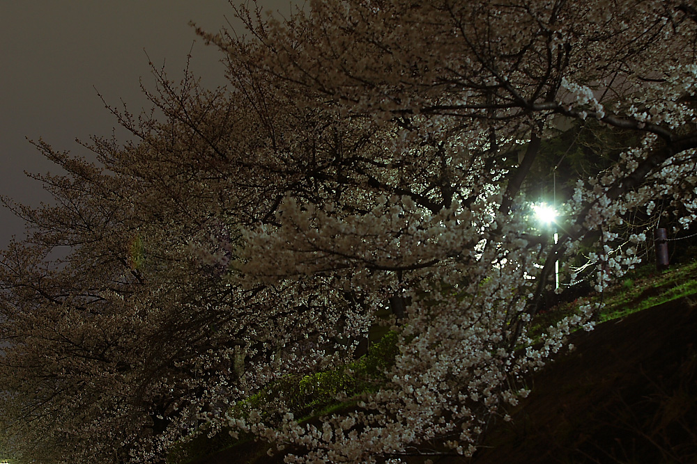 c0032494_7441522.jpg