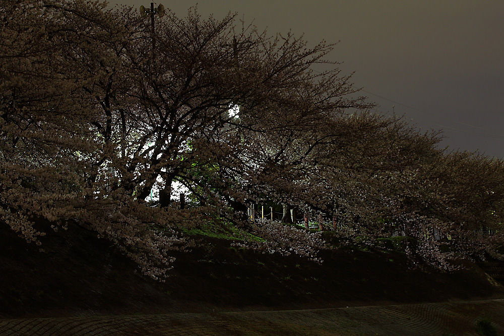c0032494_7442475.jpg
