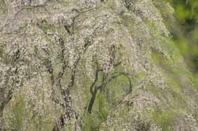 e0136194_23144926.jpg