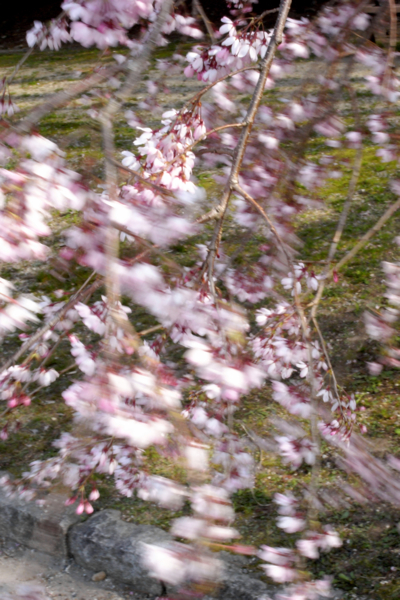 c0146595_0133276.jpg