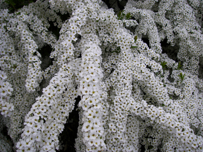 d0045295_02570.jpg