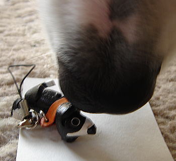 f0082396_19271053.jpg