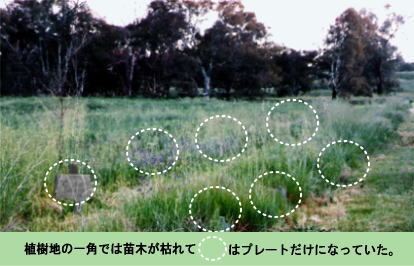 f0137096_1049189.jpg