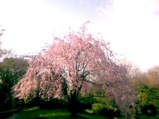 f0061797_22323826.jpg