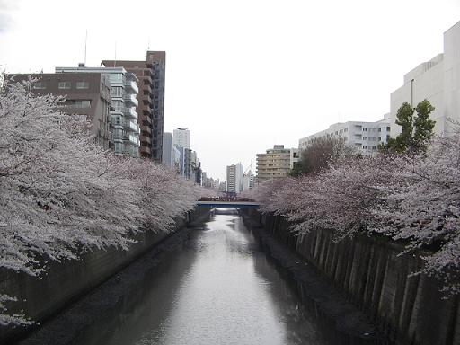 d0035199_0464459.jpg
