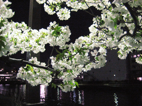 b0097200_22425970.jpg