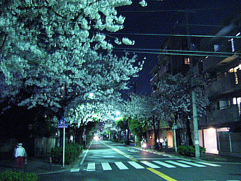 b0097200_22473764.jpg