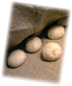 e0014000_191144.jpg
