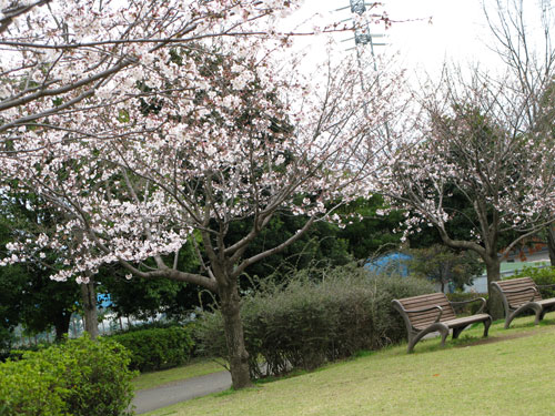c0011204_23552187.jpg