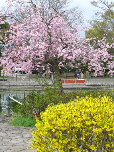 c0011204_23571294.jpg
