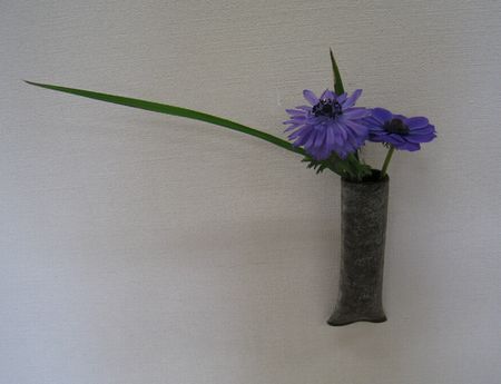a0043405_22151527.jpg