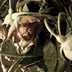 a0104905_20572233.jpg