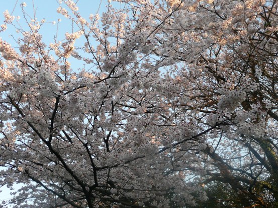 c0097309_864282.jpg