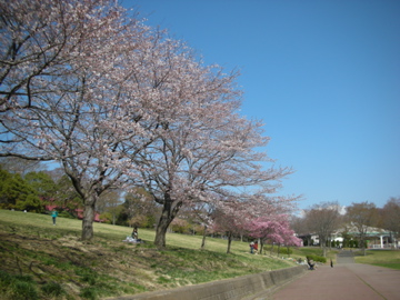 c0145209_18564423.jpg