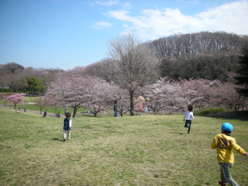c0145209_1973833.jpg