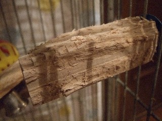 c0133013_9452188.jpg