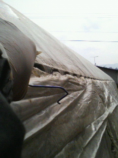 f0031013_133276.jpg