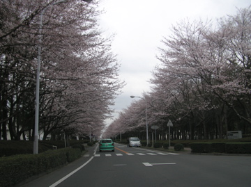 f0128723_22384219.jpg