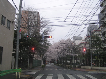 f0128723_2239567.jpg