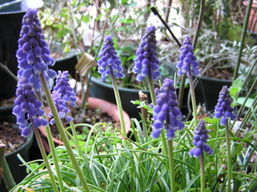 f0128723_2251040.jpg