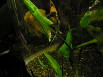 f0128723_225426100.jpg