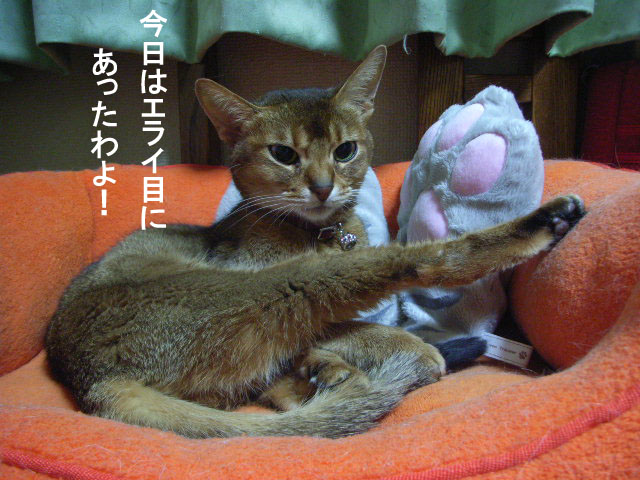 d0081025_1956357.jpg