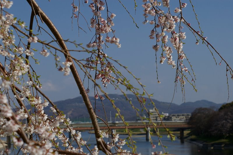 c0045129_21512643.jpg