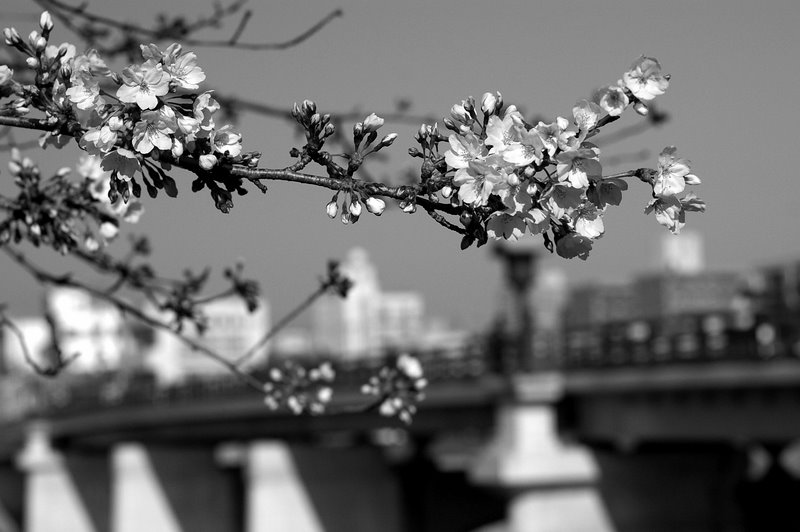 c0045129_21562942.jpg