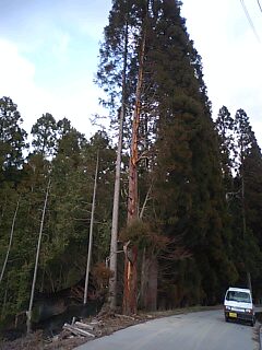d0014229_0154310.jpg