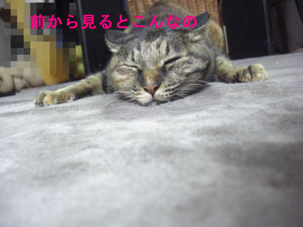 e0142430_1115565.jpg