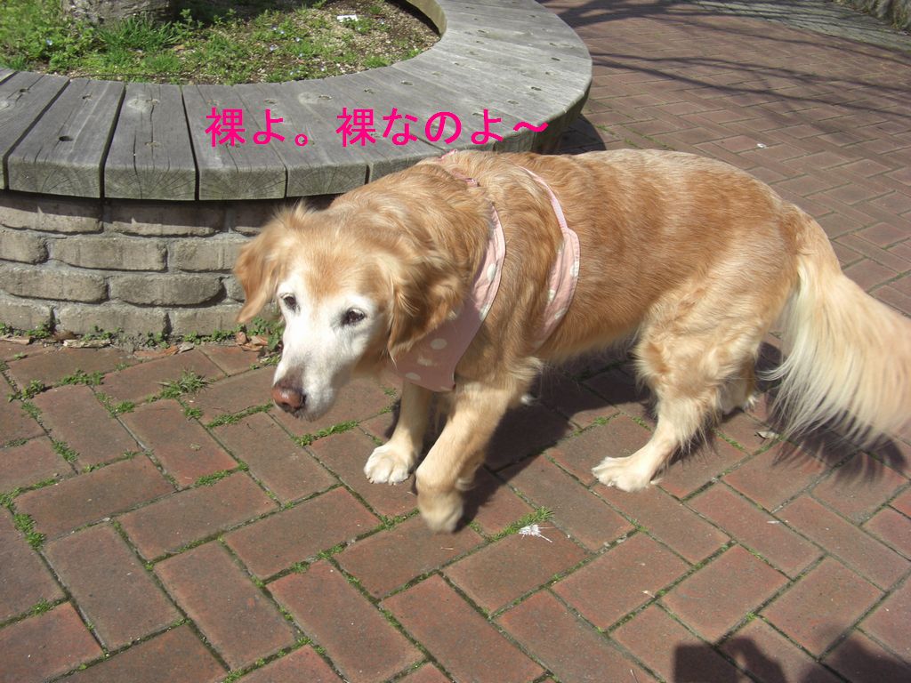 e0142430_164253.jpg