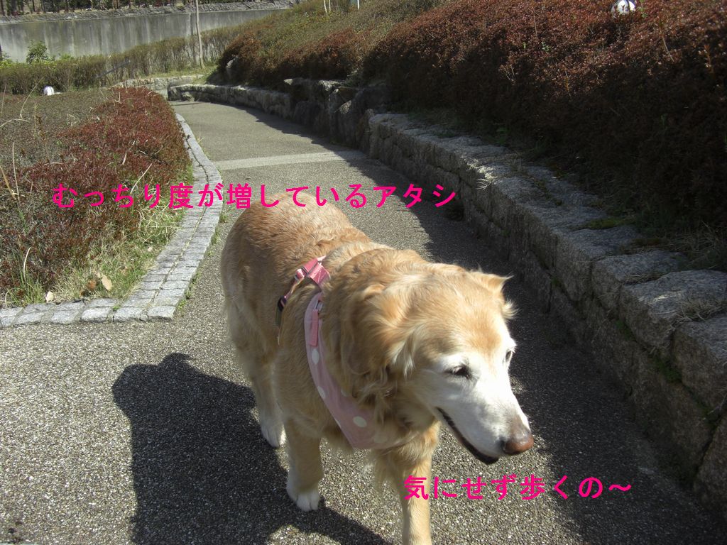 e0142430_173353.jpg