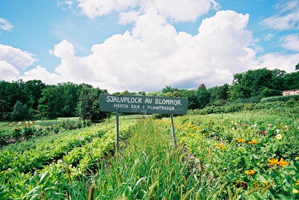 d0008832_229242.jpg