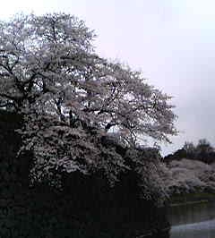 e0025433_1582548.jpg