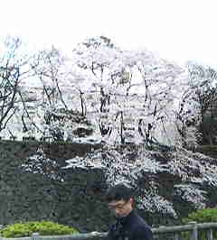 e0025433_1584581.jpg