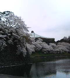 e0025433_159441.jpg