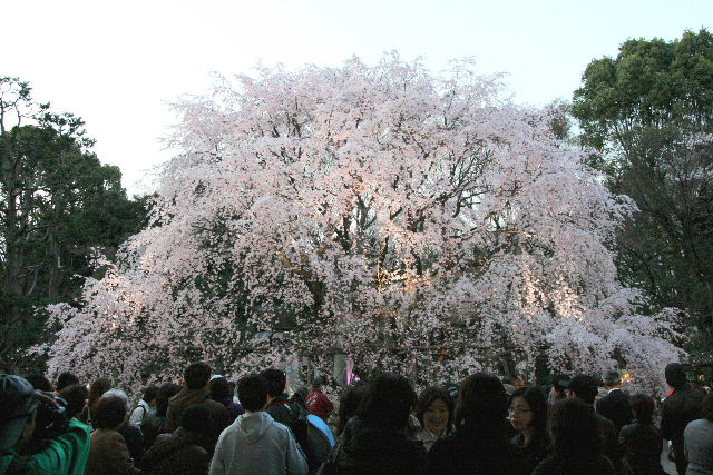 e0064133_028175.jpg