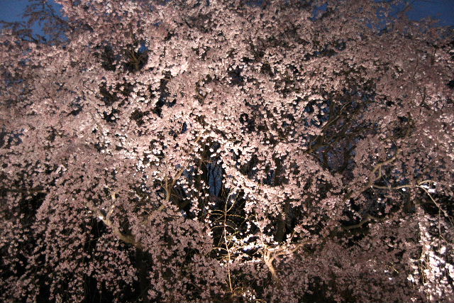e0064133_0285678.jpg