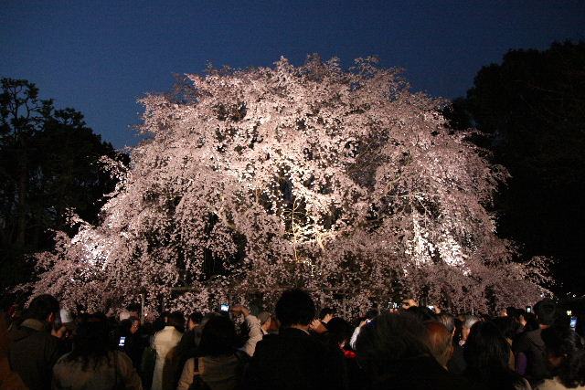 e0064133_029737.jpg